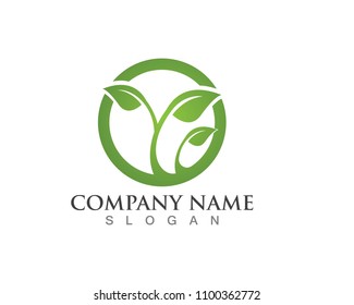 leaves green nature logo and symbol