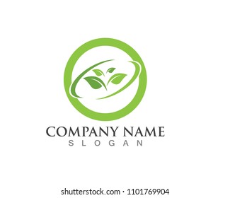 Leaves Green Nature Logo Symbol Stock Vector (Royalty Free) 1101769904 ...