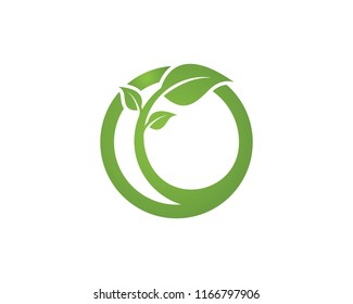 leaves green nature logo and symbol