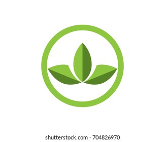  leaves green nature logo and symbol