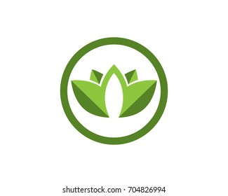  leaves green nature logo and symbol