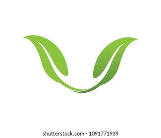 leaves green nature logo and symbols