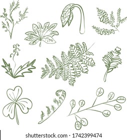 Leaves of green plants linear contour set