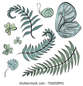 Leaves of green plants. Vector set, illustration, isolated on white background.