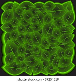 Leaves green. A vector background.