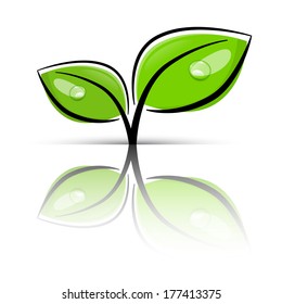 Leaves Green Vector Illustration Isolated on White Background
