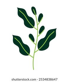 leaves greenery nature element isolated