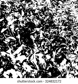 Leaves/ Grunge background texture/ Design elements/ Vector illustration
