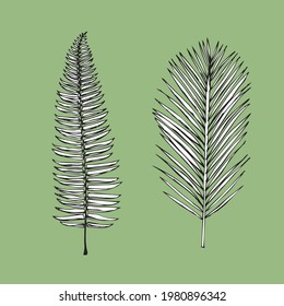 Leaves in hand  drawing style. 
