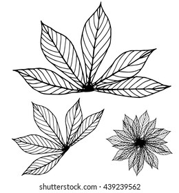 leaves hand drawn.