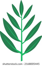 leaves leaves, hand drawn aesthetic, green tropical leaves, vector art, vector illustrator, vector formats