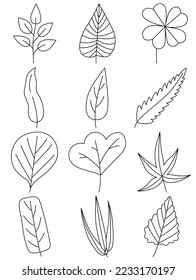 Leaves hand drawn icon vector set isolated on white background, Hand drawn decorative elements, Simple cartoon hand drawn style