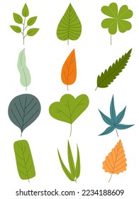 Leaves hand drawn icon vector set isolated on white background, Hand drawn decorative elements, Simple cartoon hand drawn style