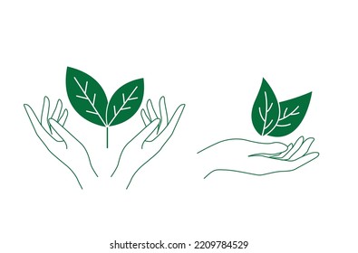 leaves and hand line art vector illustration 