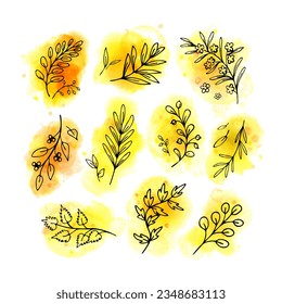 Leaves, herbs, twigs on bright yellow watercolor spots. Autumn theme. Set of retro design elements for text, quotes, etc. Beautiful fantasy line art for various prints, for packages, cards