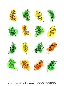 Leaves, herbs, twigs on watercolor spots, natural hues of green, yellow, orange. Hand drawn aquarelle ink design elements. Eco, bio springtime, summertime symbols. Modern line art, print templates
