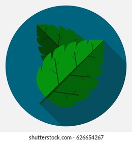 Leaves icon.
