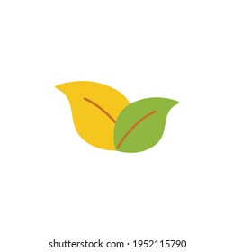leaves icon in color icon, isolated on white background 