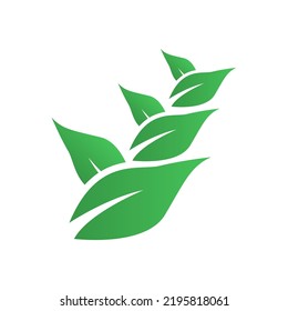 icono de hojas, concepto de ecología, ilustración vectorial