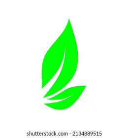 Leaves icon illustration on white background. 