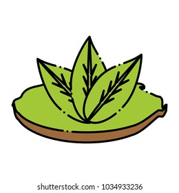 leaves icon image