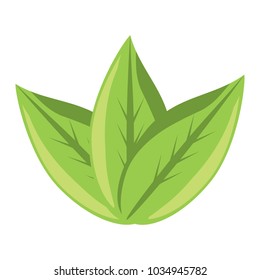 leaves icon image