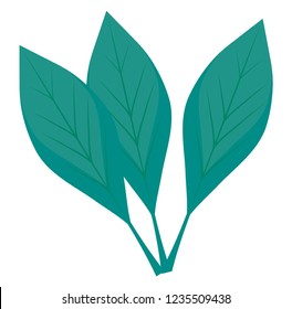 leaves icon image