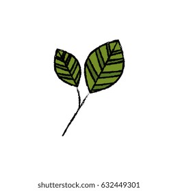 leaves icon image