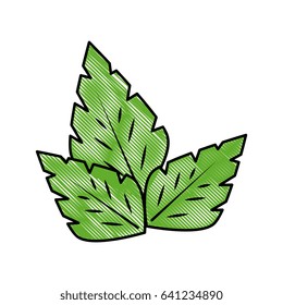 leaves icon image