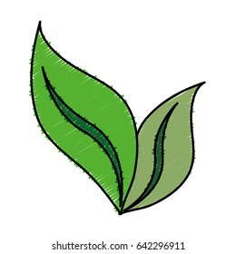 leaves icon image