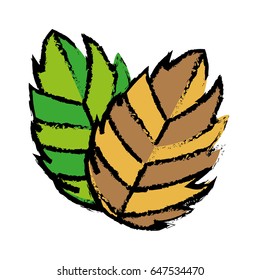 leaves icon image