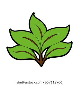 leaves icon image