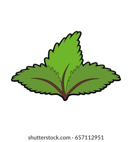 leaves icon image