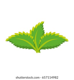 leaves icon image
