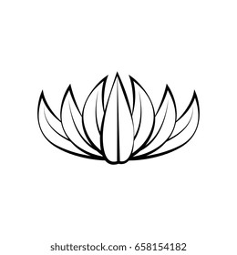 leaves icon image