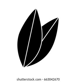 leaves icon image
