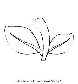 leaves icon image