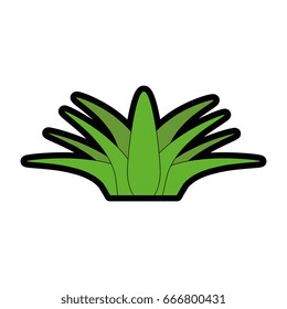leaves icon image