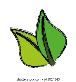 leaves icon image