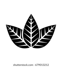 leaves icon image