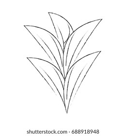 leaves icon image