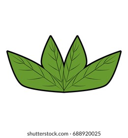 leaves icon image