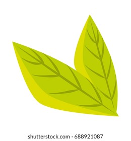 leaves icon image