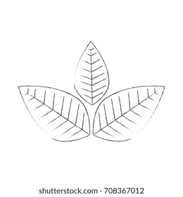 leaves icon image