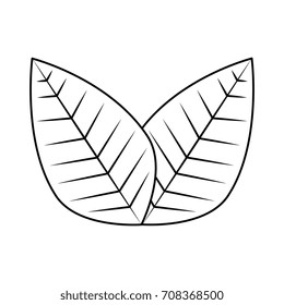 leaves icon image