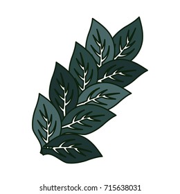 leaves icon image