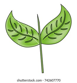 leaves icon image