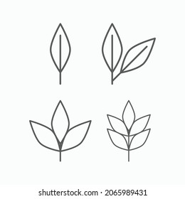 leaves icon, leaf vector, foliage illustration