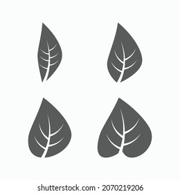 icono de hojas, vector hoja, ilustración foliage