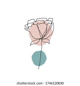 Leaves icon Line art. Minimal flora design with abstract shape background  for cover, prints, fabric and wallpaper. Vector illustration